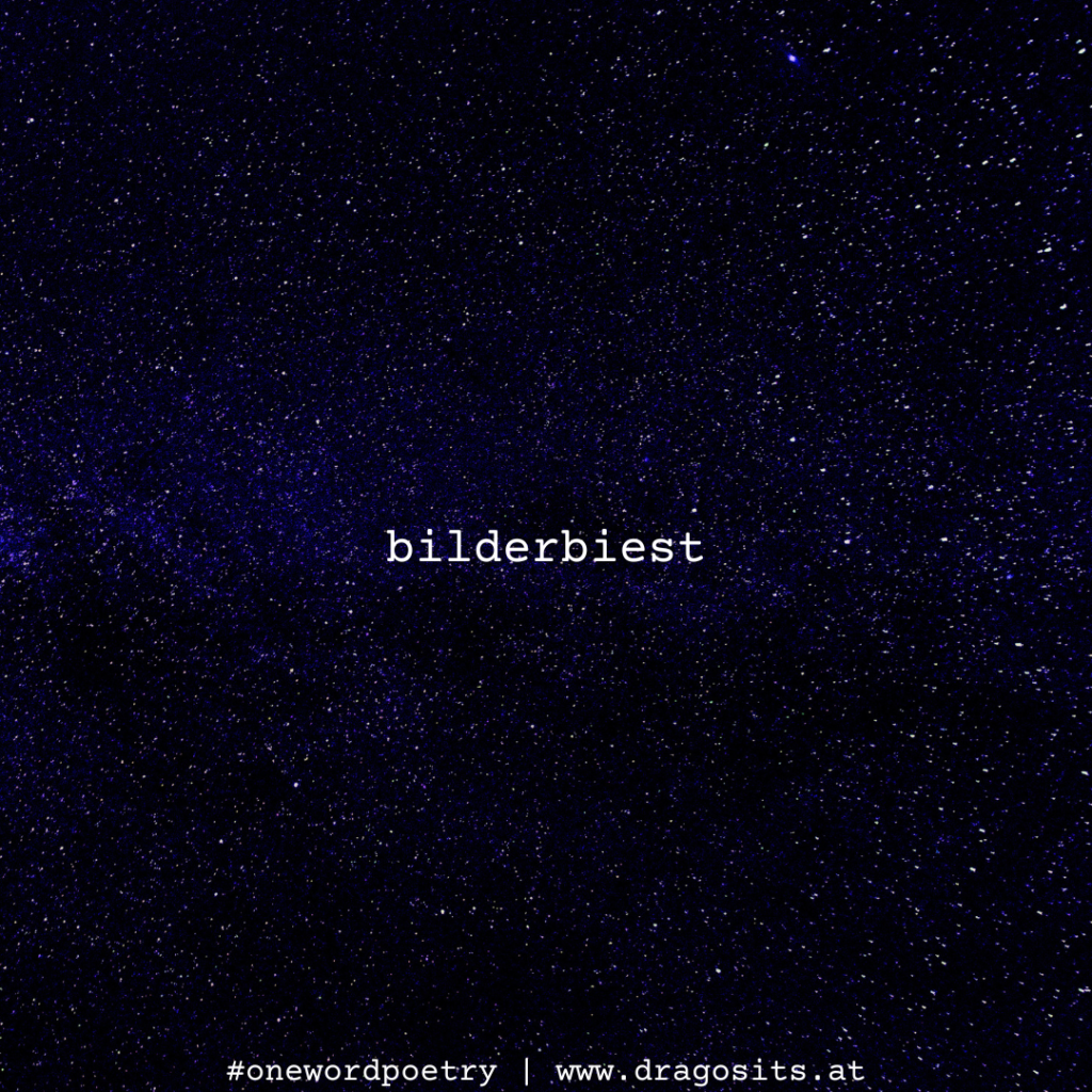 bilderbiest #onewordpoetry